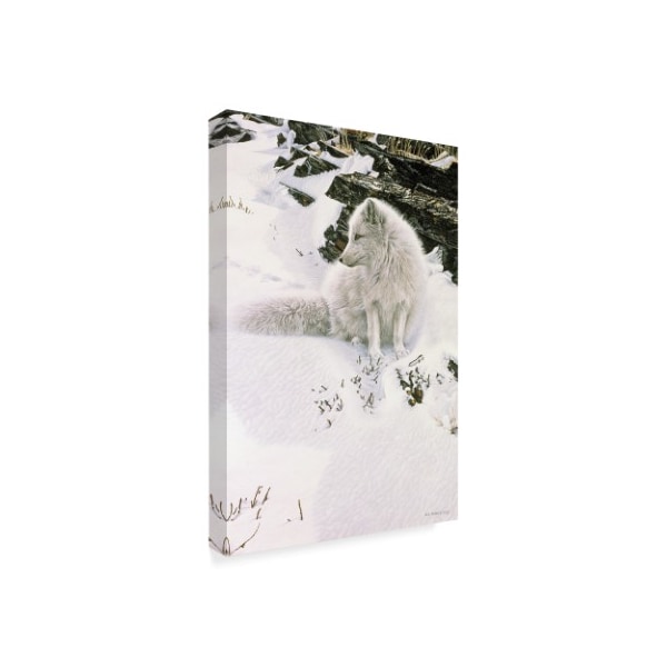 Ron Parker 'Blue Shadows Arctic Fox' Canvas Art,12x19